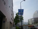 国際大通り みなとみらいに向かう